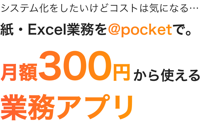 システム化をしたいけどコストは気になる…紙・Excel業務を@pocketで。月額300円から使える業務アプリ